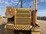 General Appearance with Paint