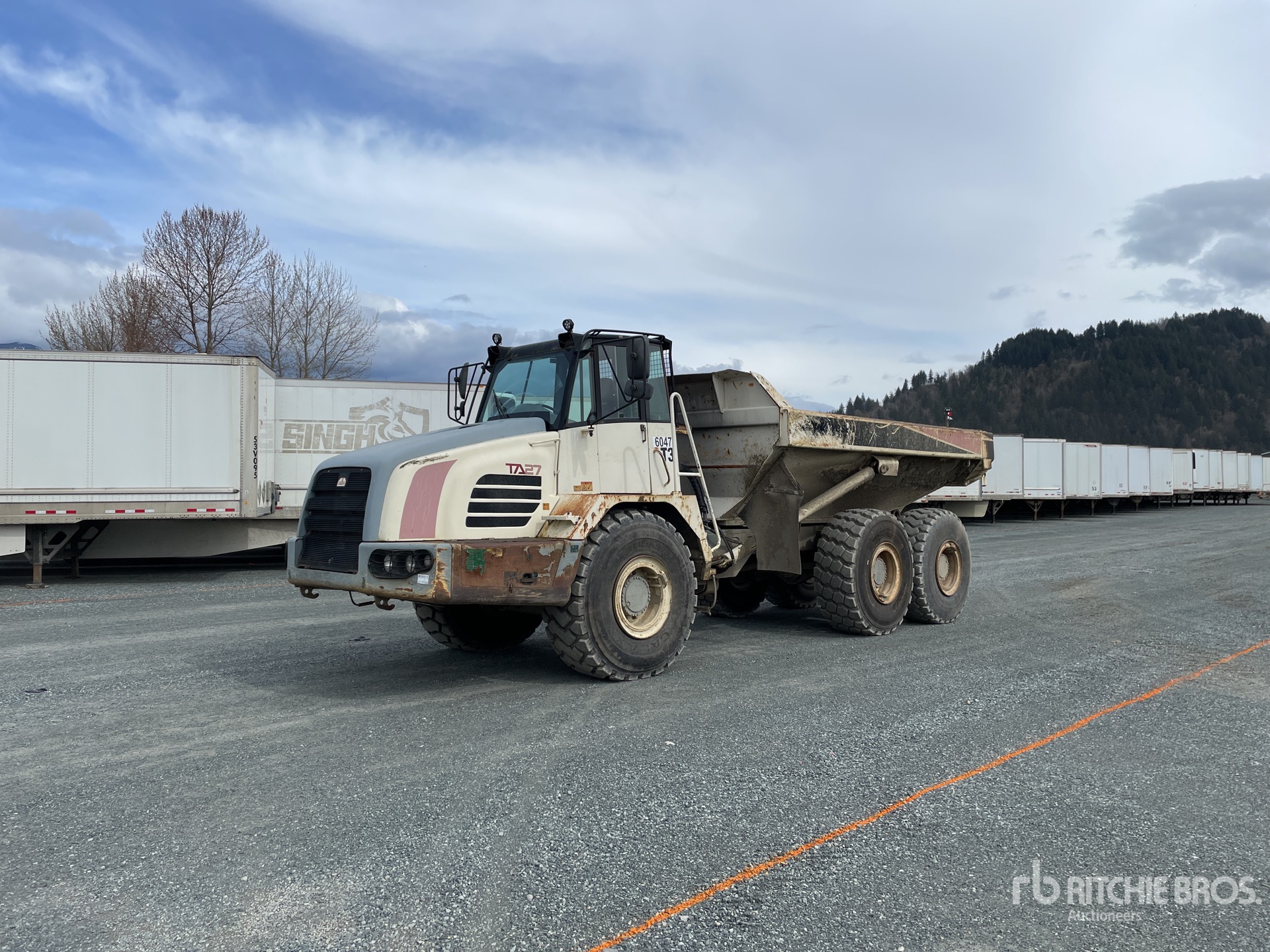 General Appearance with Spin