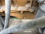 Engine with Oil Leaks