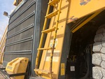 General Appearance with Paint