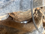 Chassis with Suspension Pivot Points