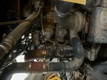 Engine with Exhaust System