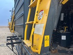 General Appearance with Paint
