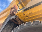 General Appearance with Paint