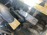 Engine with Exhaust System