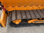 Undercarriage with Left Track Shoes