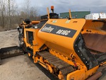 General Appearance with Paint
