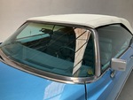 General Appearance with Glass