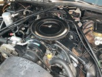 Engine with Exhaust System
