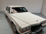 General Appearance with Paint