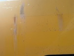 General Appearance with Paint