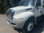 General Appearance with Paint