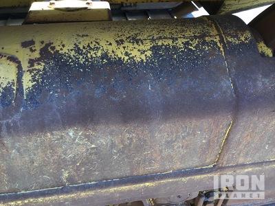General Appearance with Paint