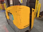 General Appearance with Paint