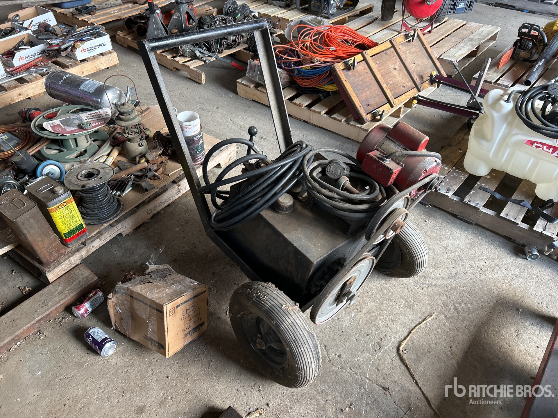 General Appearance with 