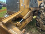General Appearance with Paint