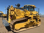 General Appearance with Paint