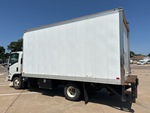 Picture, Left Rear Corner