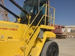 General Appearance with Hand Rails