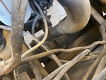 Engine with Exhaust System