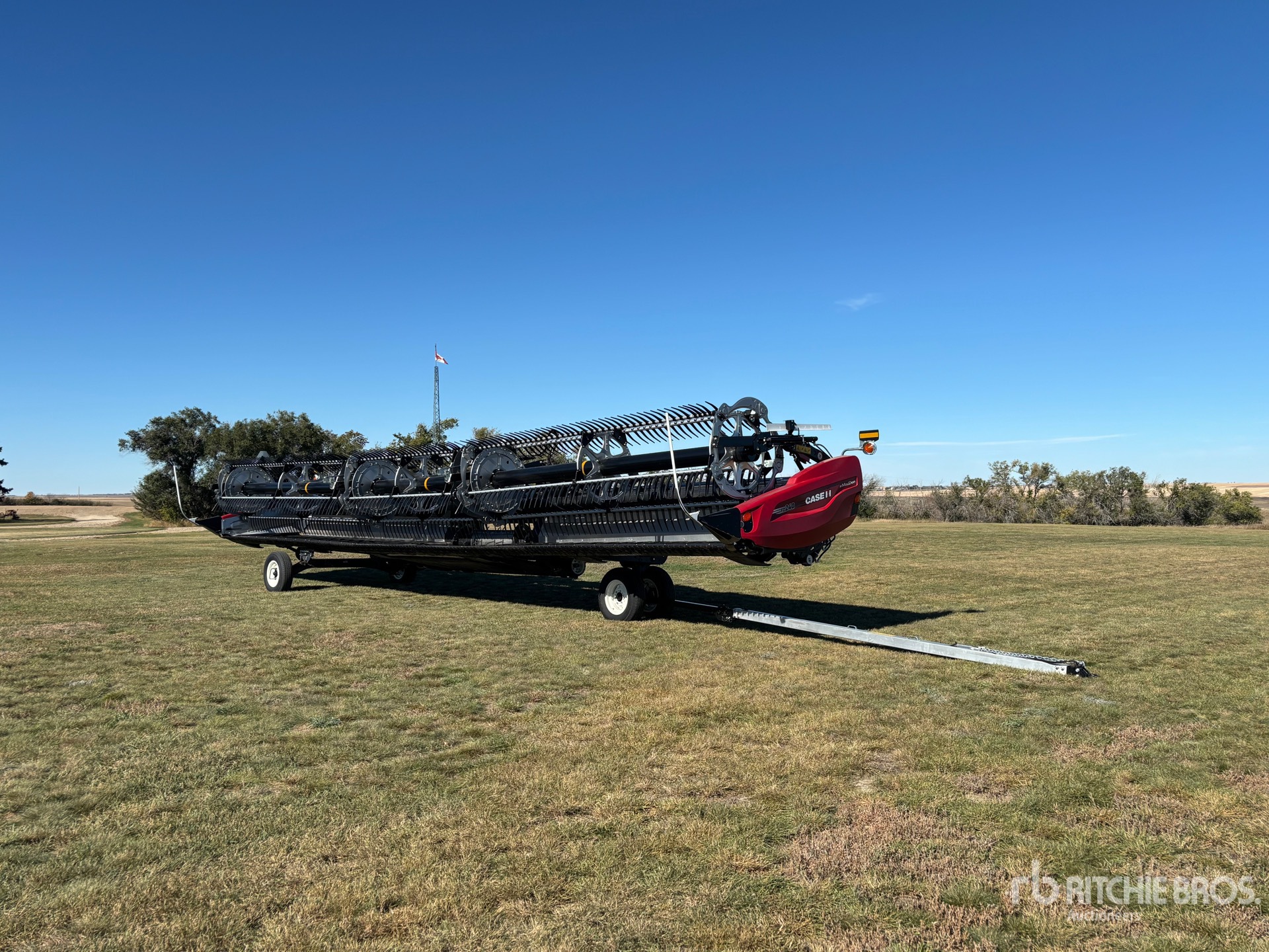 General Appearance with Bild, Ecke vorne links