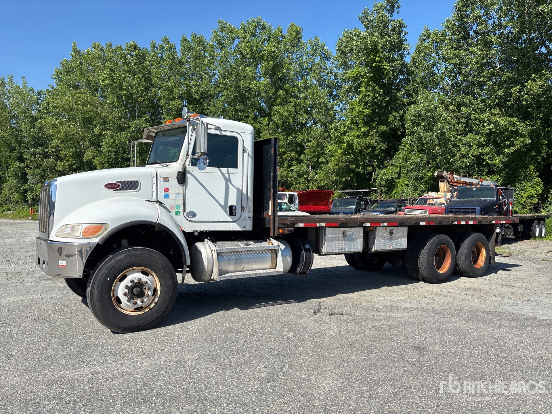 General Appearance with Spin