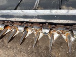 Windrower Header with 