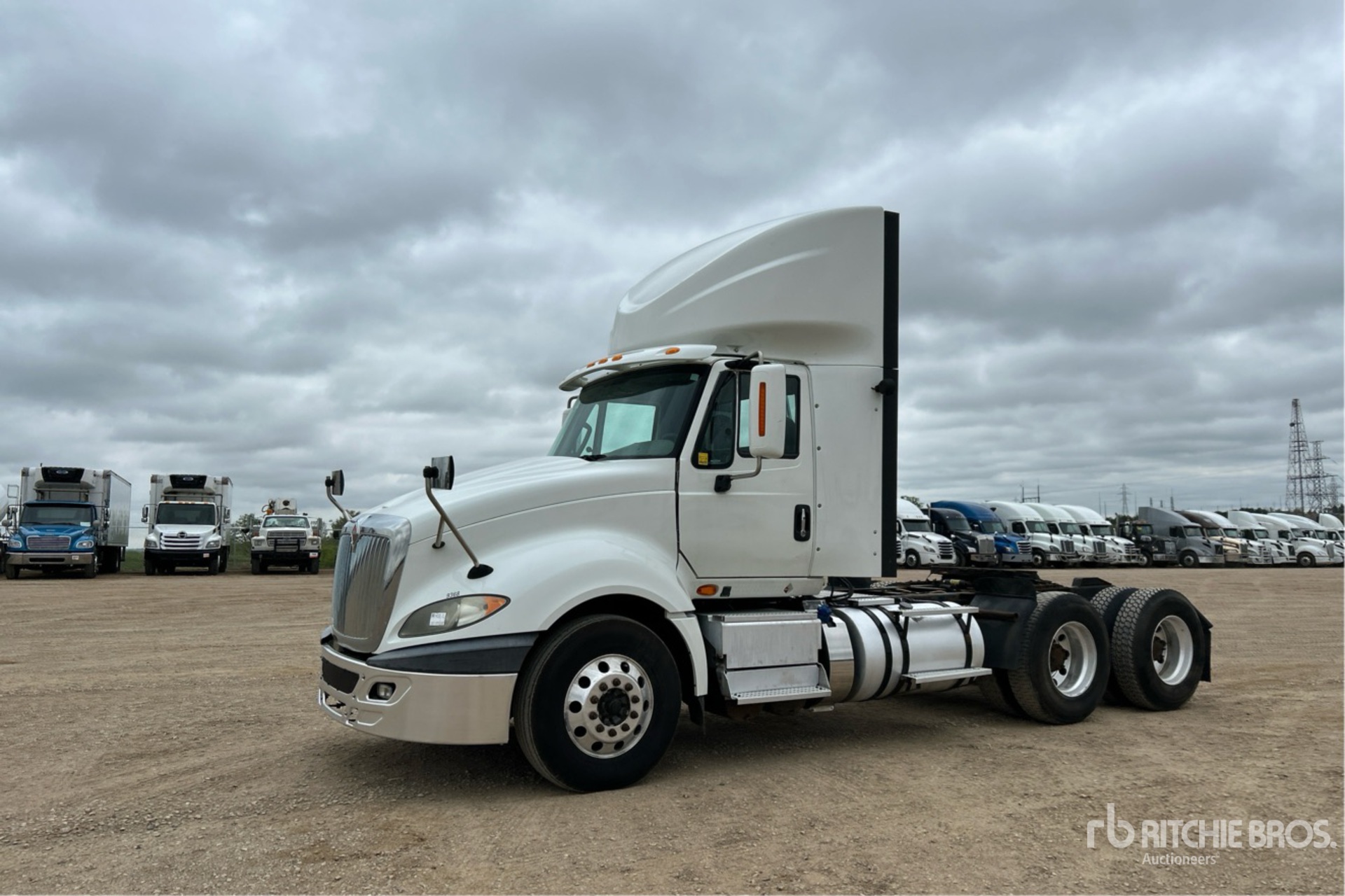 General Appearance with Spin