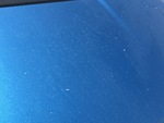 General Appearance with Paint