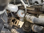 Engine with Exhaust System