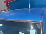 General Appearance with Paint