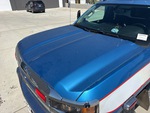 General Appearance with Paint