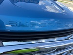 General Appearance with Paint