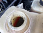 Engine with Radiator