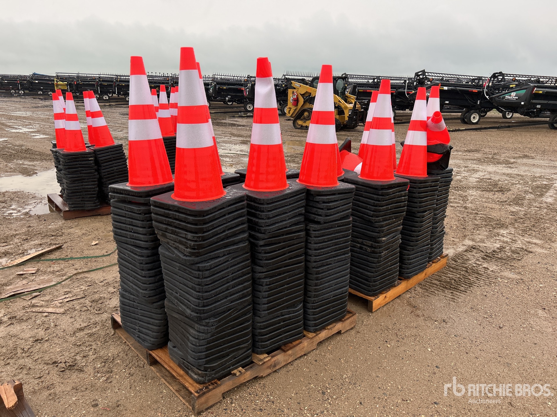 General Appearance with Image, coin arrière droit