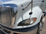 General Appearance with Pintura