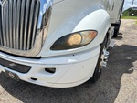 General Appearance with Pintura