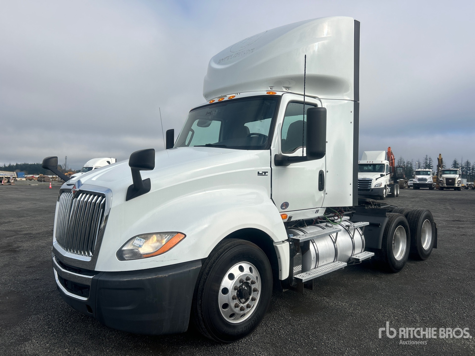 General Appearance with Spin