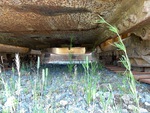 Chassis with Belly Pans