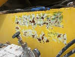 General Appearance with Paint