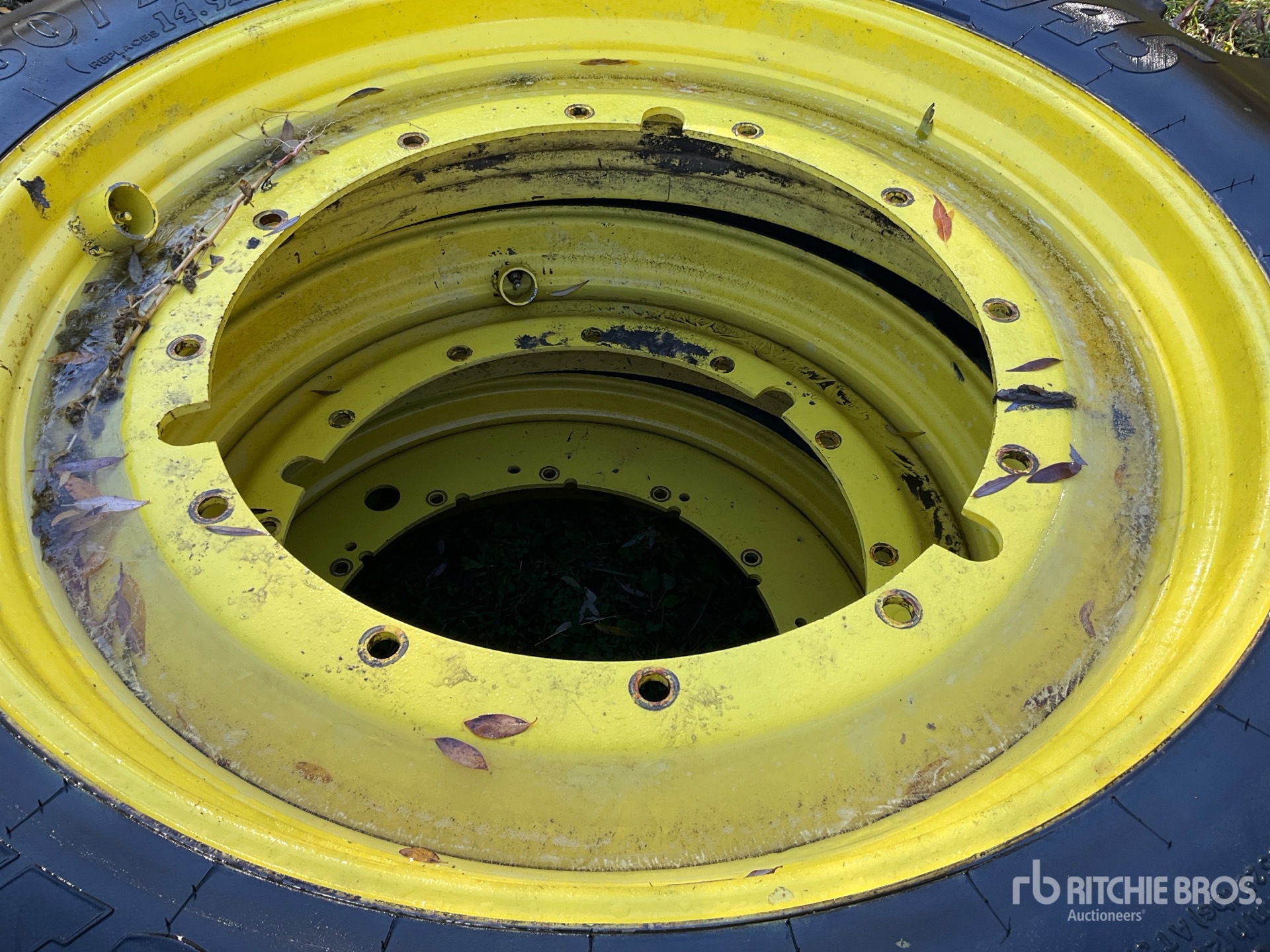 General Appearance with 