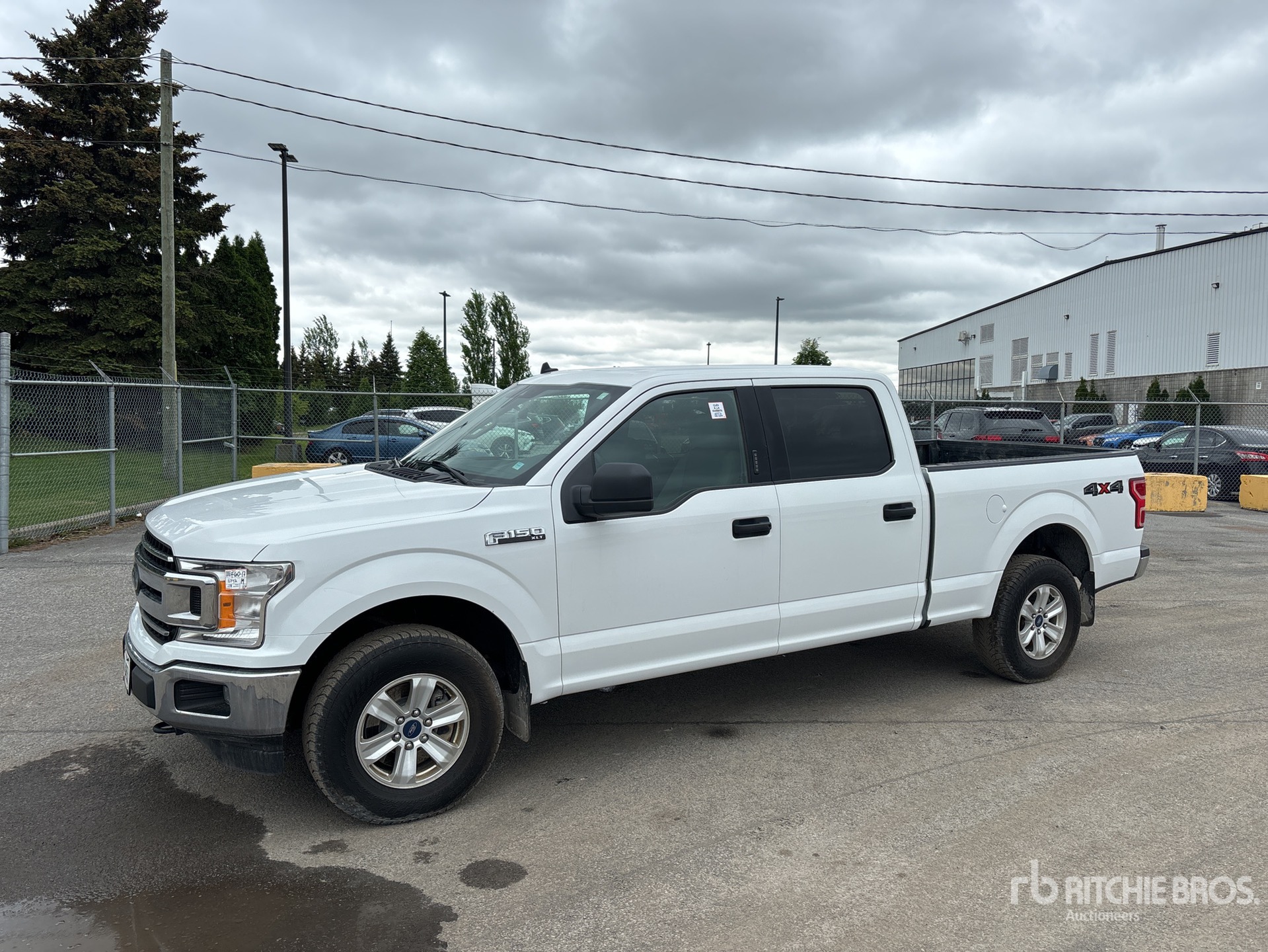 General Appearance with Spin