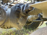 MN266698 - 2021 International LT625: Front Drive Axle