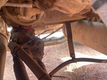 Underbody with 