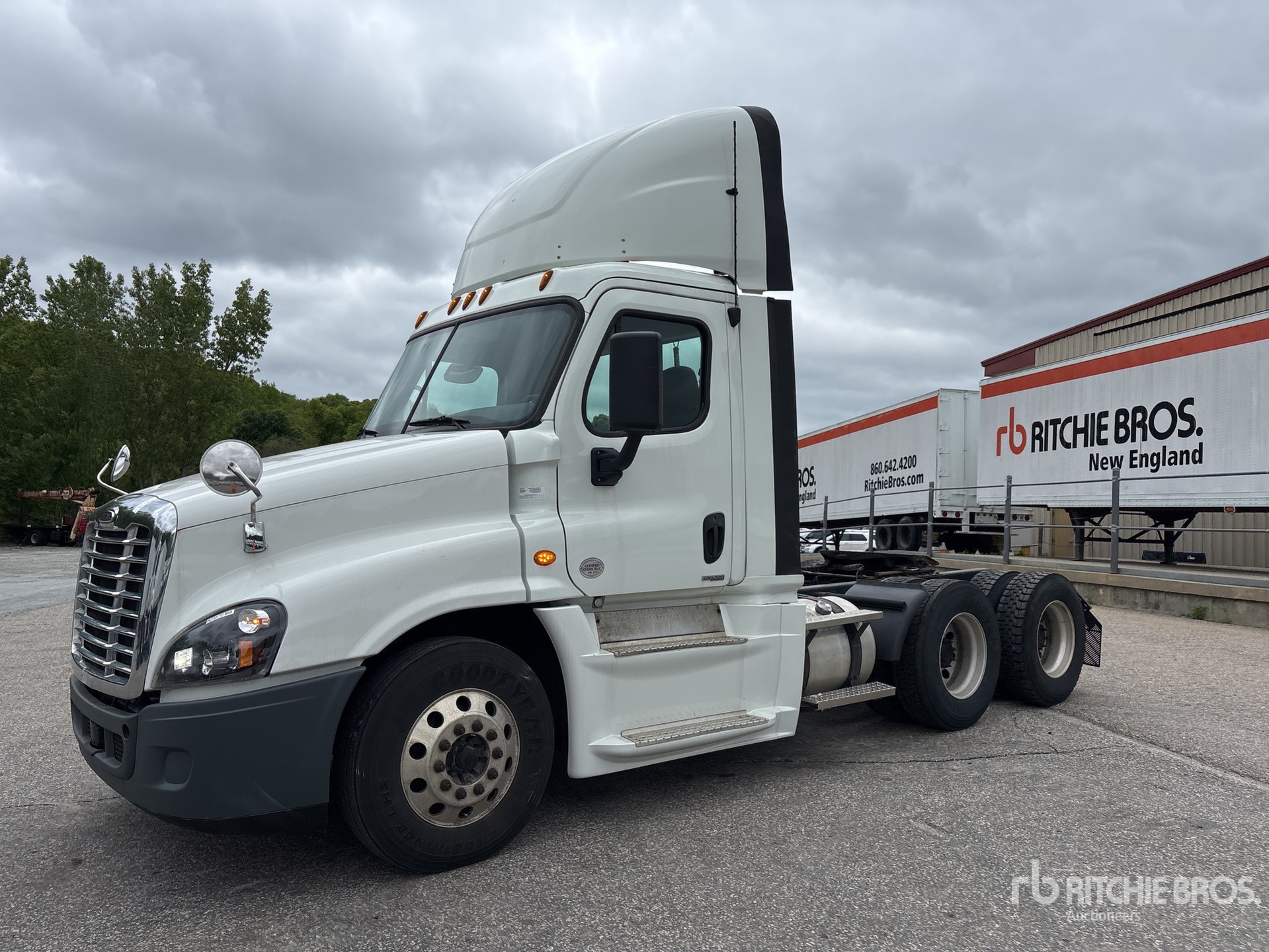 General Appearance with Spin