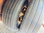 Trailer Chassis with 