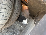 Underbody with 