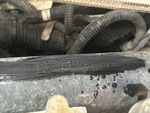 General Appearance with Second Serial Number/VIN Photo