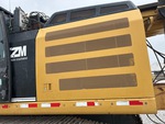 General Appearance with Paint