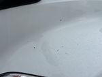 KL722687 - 2019 International LT625: Truck Paint and Body Damage
